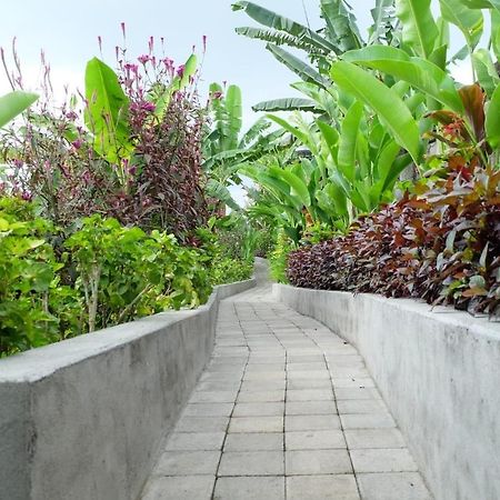 Rendira Villa 2 Ubud Exterior foto